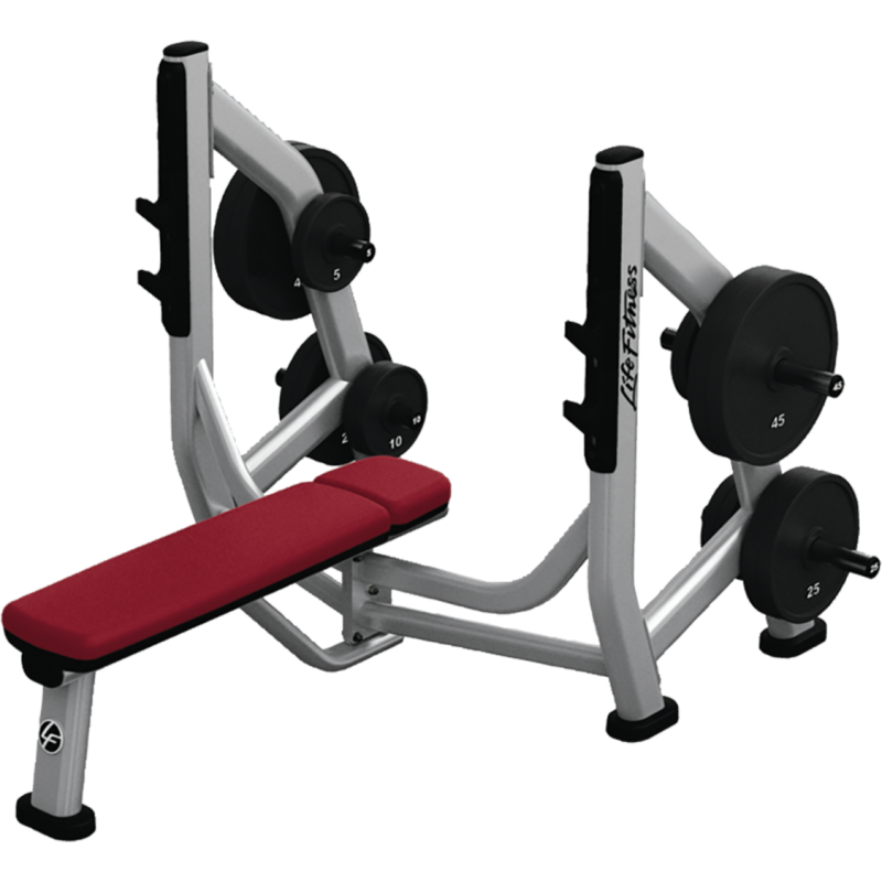 LIFE FITNESS SIGNATURE SERIES OLYMPIC BENCH WEIGHT STORAGE (ADDED STORAGE ONLY)