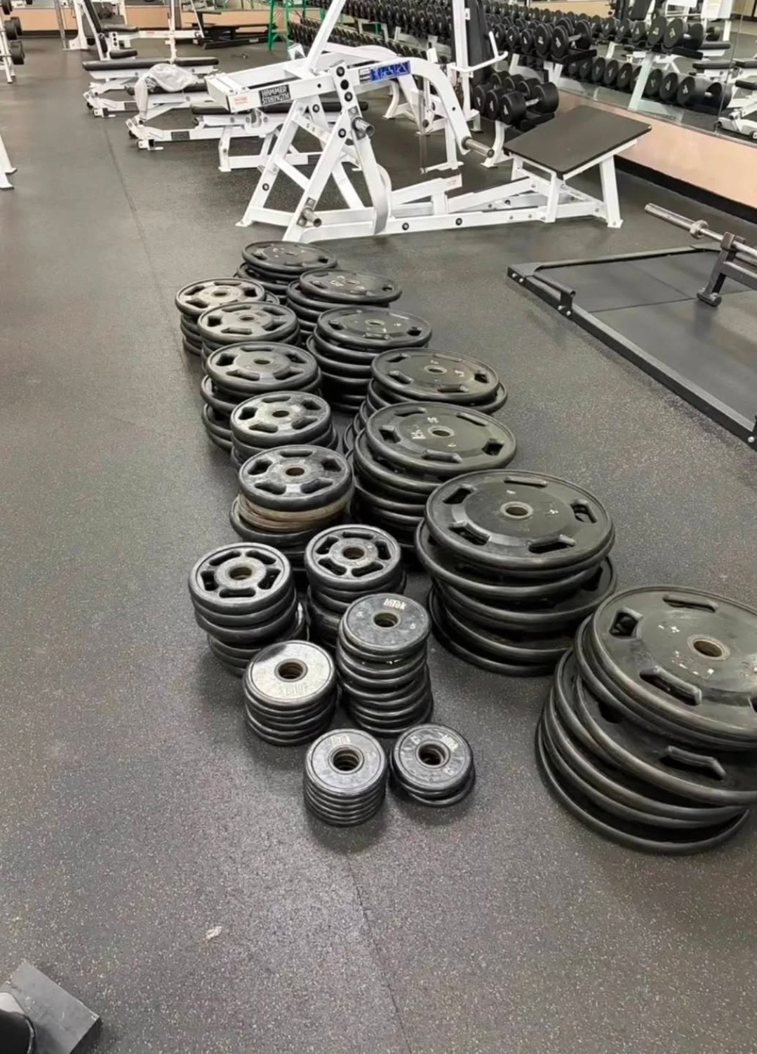 3,725 lbs Intek Rubber Olympic Weight Plates for Sale