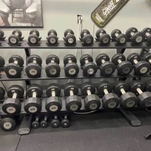 Eleiko Evo Rotating Dumbbells.